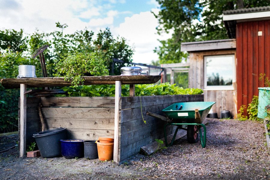 Foto av trädgård taget av fotograf Oscar Edwards